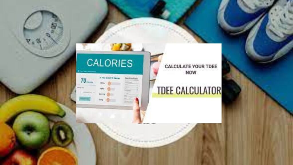 How Many Calories Should I Eat To Lose Weight- Your BMI and TDEE Calculator