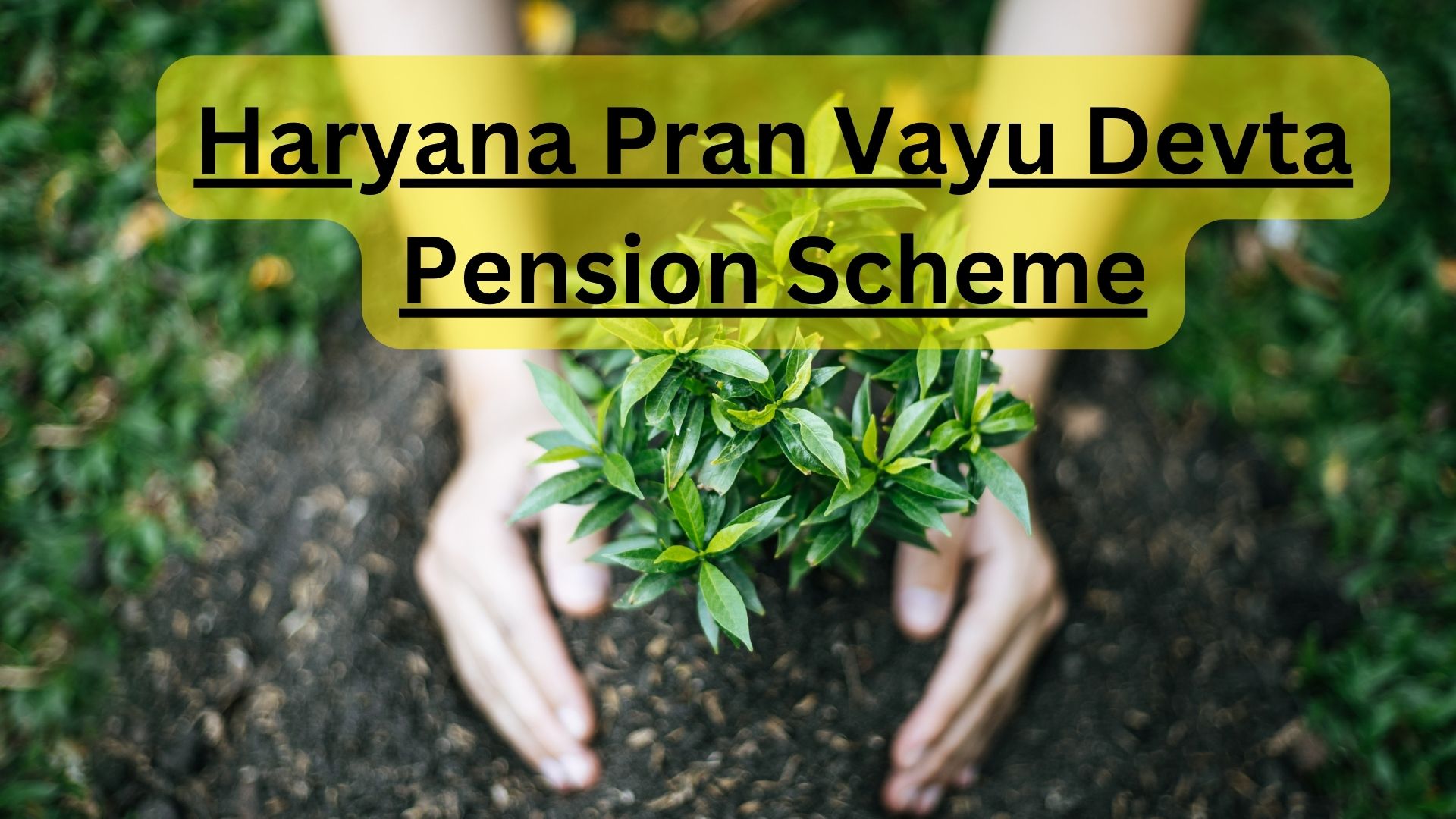 Haryana Pran Vayu Devta Pension Scheme