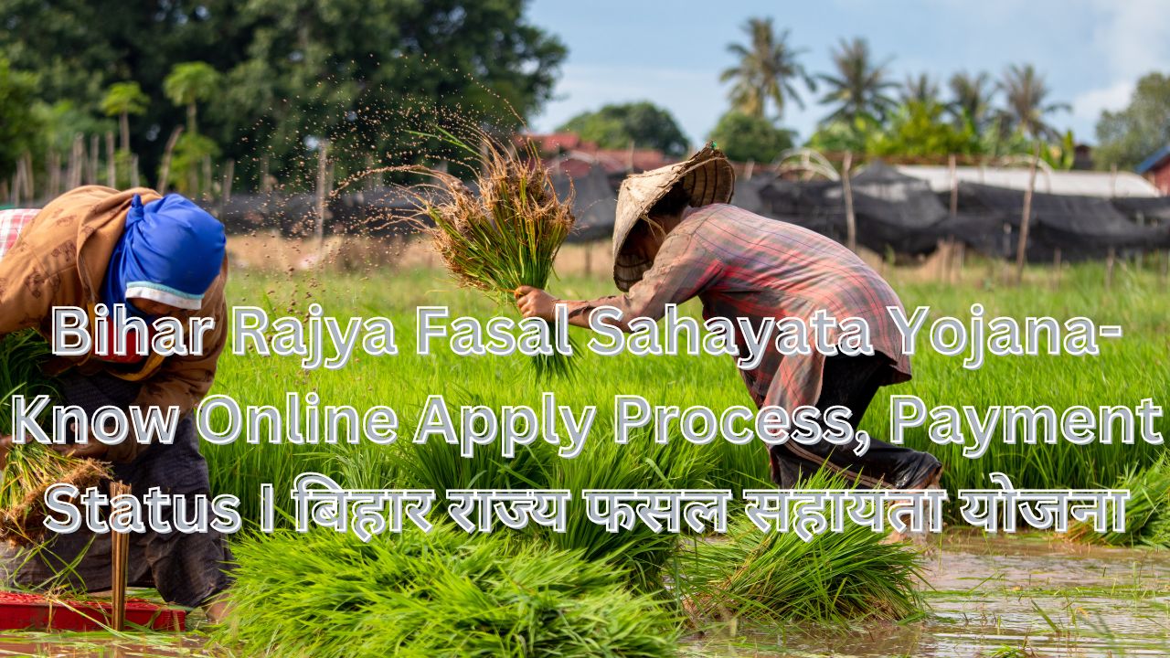 Bihar Rajya Fasal Sahayata Yojana- Know Online Apply Process, Payment Status I बिहार राज्य फसल सहायता योजना