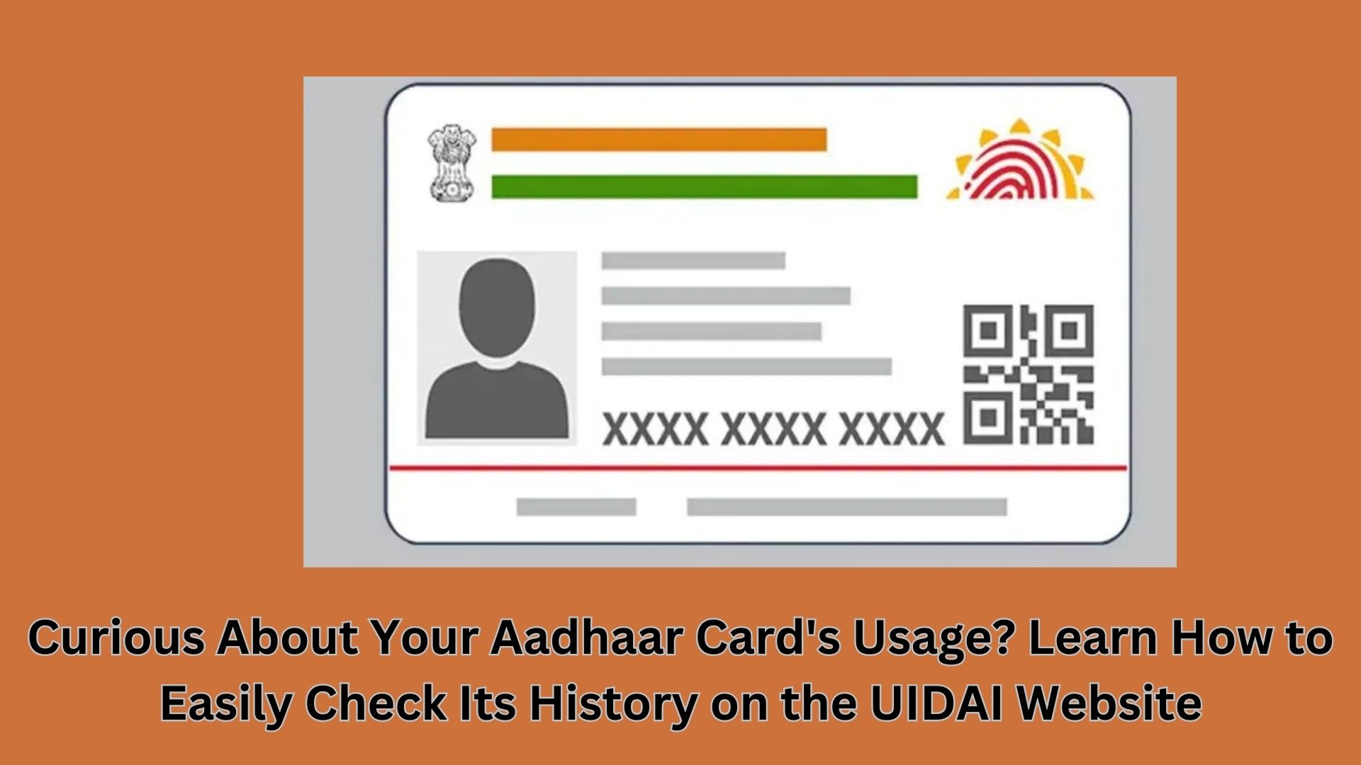 Curious About Your Aadhaar Card's Usage? Learn How to Easily Check Its History on the UIDAI Website