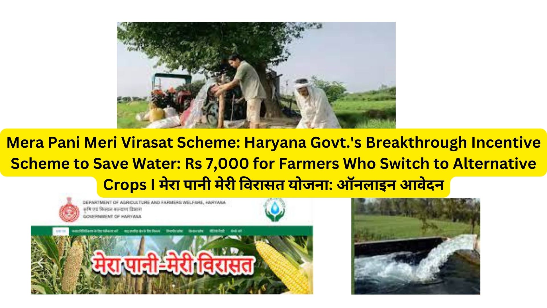 Mera Pani Meri Virasat Scheme: Haryana Govt.'s Breakthrough Incentive Scheme to Save Water: Rs 7,000 for Farmers Who Switch to Alternative Crops I मेरा पानी मेरी विरासत योजना: ऑनलाइन आवेदन