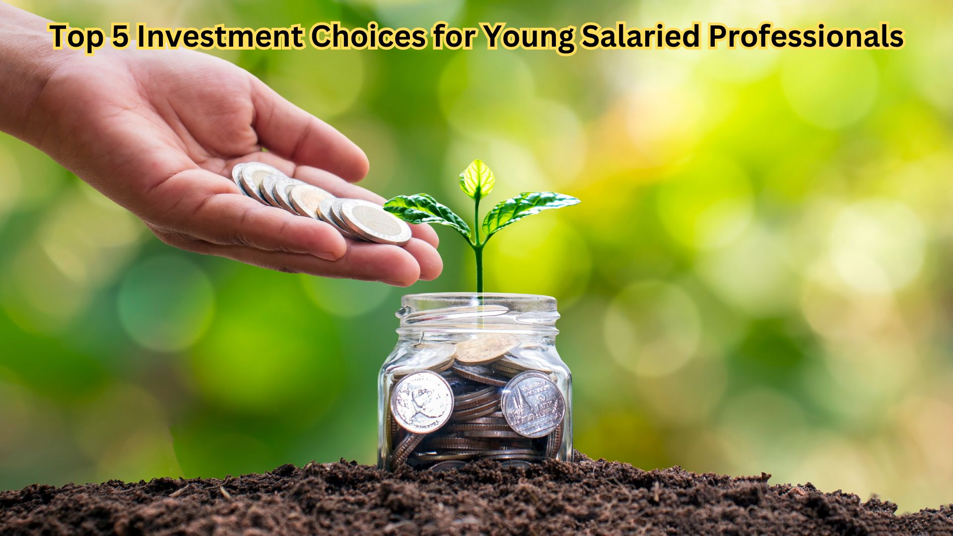 Top 5 Investment Choices for Young Salaried Professionals