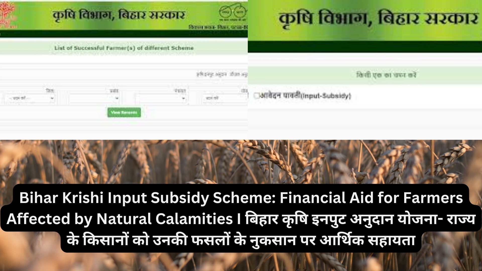 Bihar Krishi Input Subsidy Scheme: Financial Aid for Farmers Affected by Natural Calamities I बिहार कृषि इनपुट अनुदान योजना- राज्य के किसानों को उनकी फसलों के नुकसान पर आर्थिक सहायता