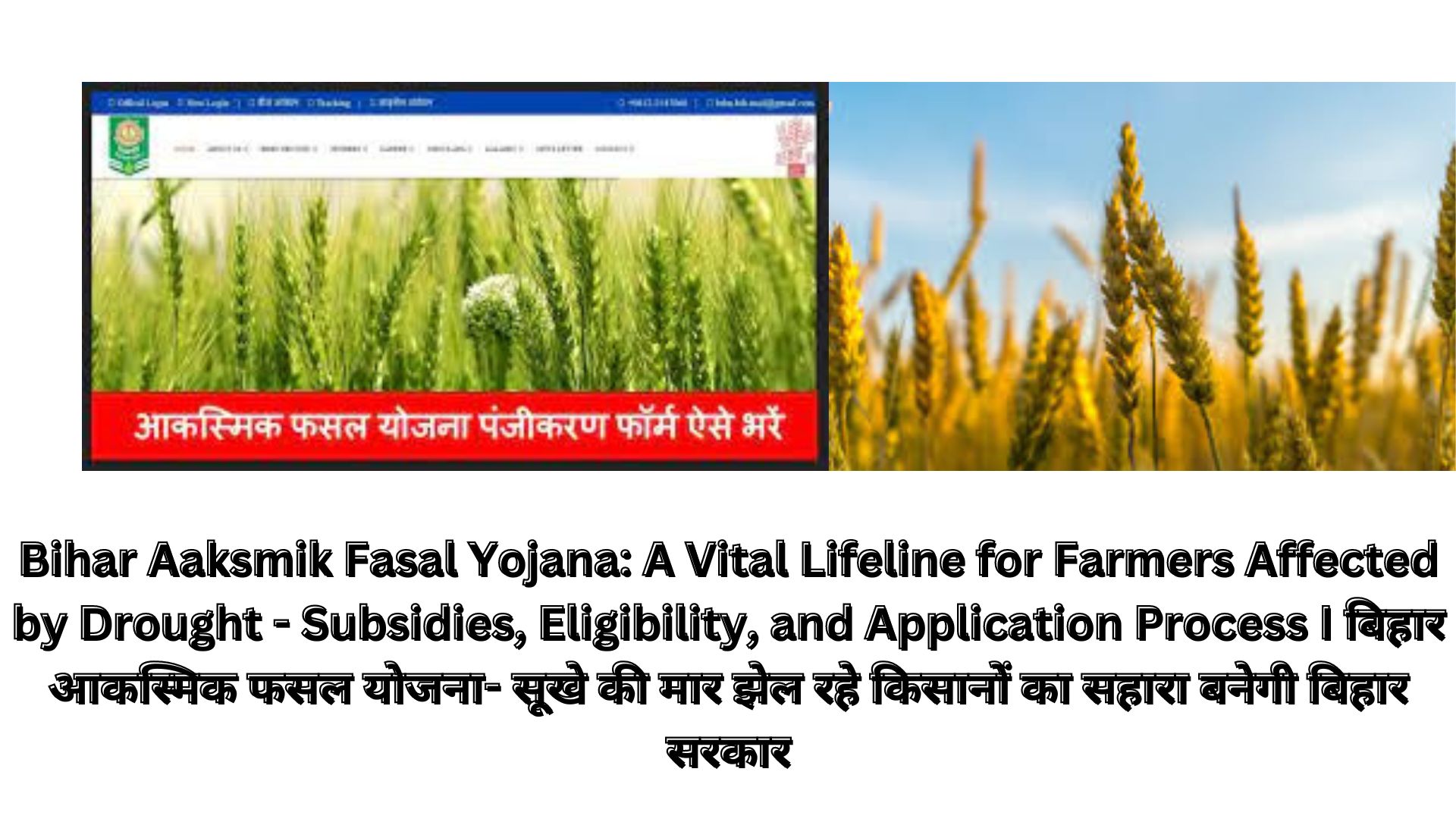 Bihar Aaksmik Fasal Yojana: A Vital Lifeline for Farmers Affected by Drought - Subsidies, Eligibility, and Application Process I बिहार आकस्मिक फसल योजना- सूखे की मार झेल रहे किसानों का सहारा बनेगी बिहार सरकार