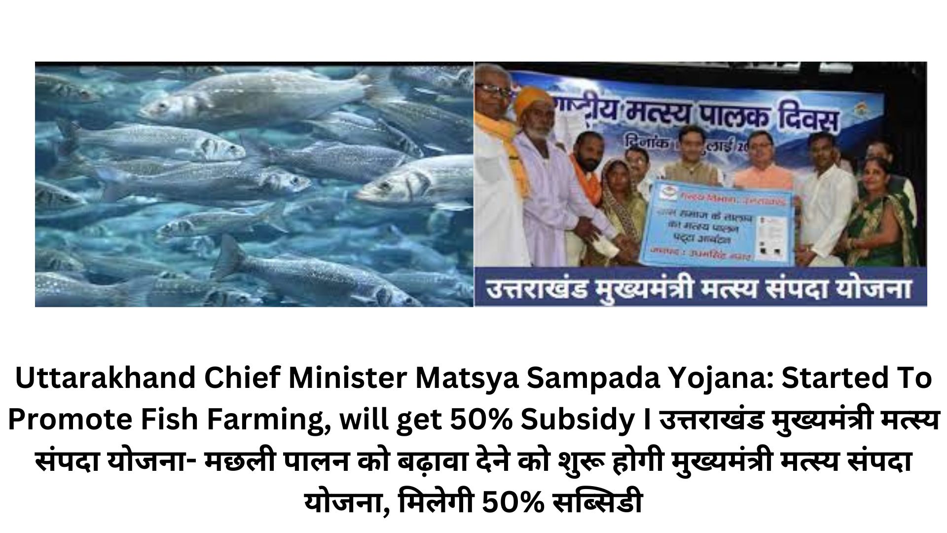 Uttarakhand Chief Minister Matsya Sampada Yojana: Started To Promote Fish Farming, will get 50% Subsidy I उत्तराखंड मुख्यमंत्री मत्स्य संपदा योजना- मछली पालन को बढ़ावा देने को शुरू होगी मुख्यमंत्री मत्स्य संपदा योजना, मिलेगी 50% सब्सिडी