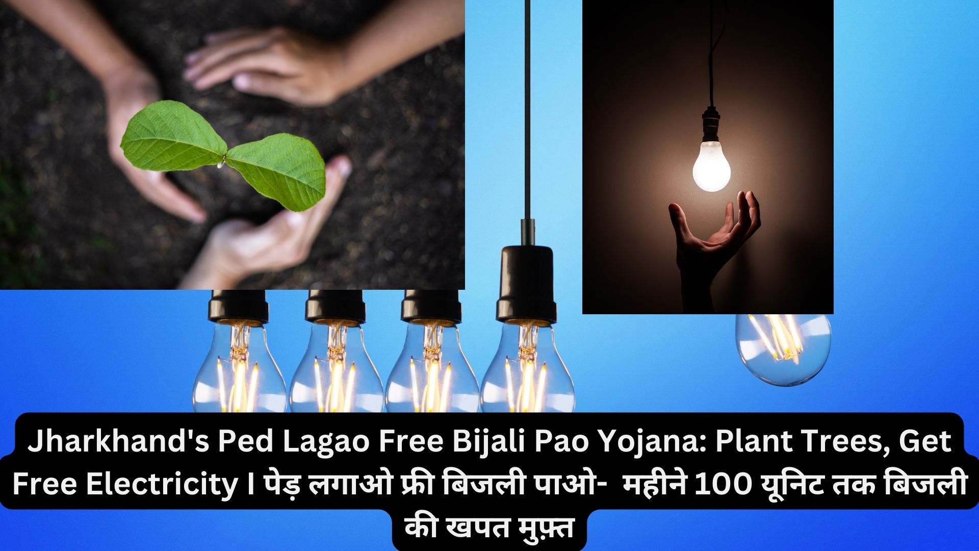 Jharkhand's Ped Lagao Free Bijali Pao Yojana: Plant Trees, Get Free Electricity I पेड़ लगाओ फ्री बिजली पाओ- महीने 100 यूनिट तक बिजली की खपत मुफ़्त