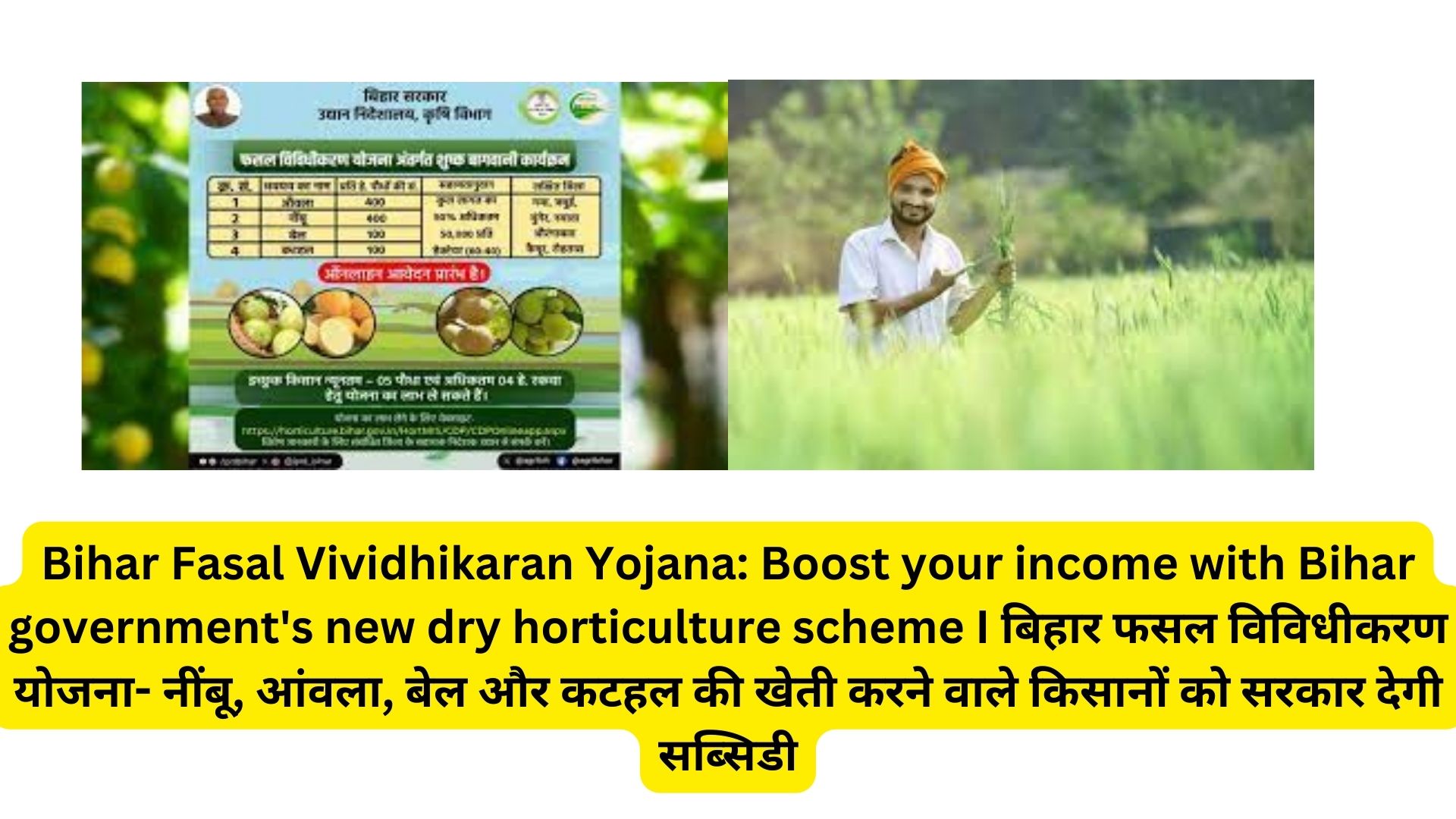 Bihar Fasal Vividhikaran Yojana: Boost your income with Bihar government's new dry horticulture scheme I बिहार फसल विविधीकरण योजना- नींबू, आंवला, बेल और कटहल की खेती करने वाले किसानों को सरकार देगी सब्सिडी