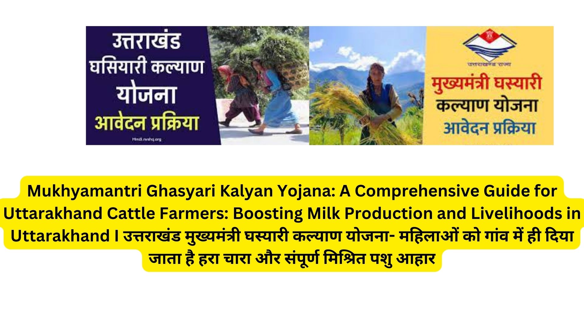 Mukhyamantri Ghasyari Kalyan Yojana: A Comprehensive Guide for Uttarakhand Cattle Farmers: Boosting Milk Production and Livelihoods in Uttarakhand I उत्तराखंड मुख्यमंत्री घस्यारी कल्याण योजना- महिलाओं को गांव में ही दिया जाता है हरा चारा और संपूर्ण मिश्रित पशु आहार