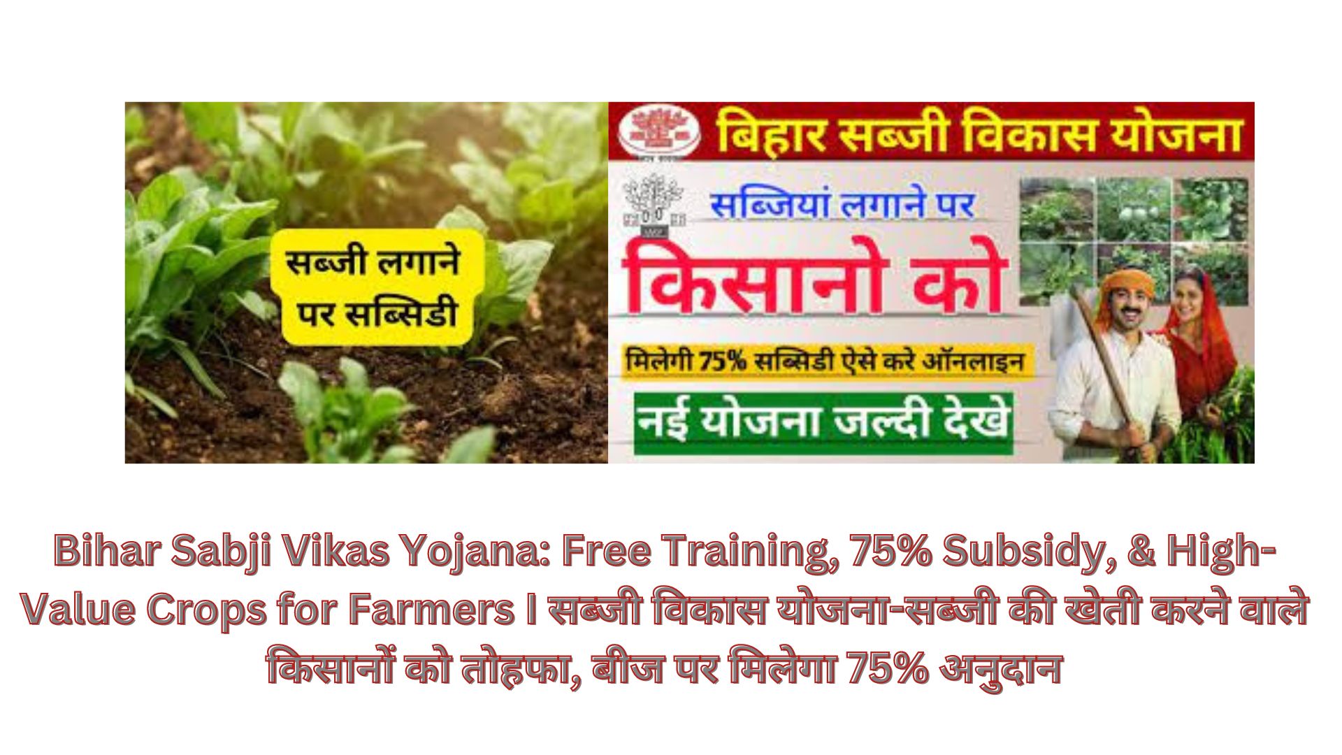 Bihar Sabji Vikas Yojana: Free Training, 75% Subsidy, & High-Value Crops for Farmers I सब्जी विकास योजना-सब्जी की खेती करने वाले किसानों को तोहफा, बीज पर मिलेगा 75% अनुदान