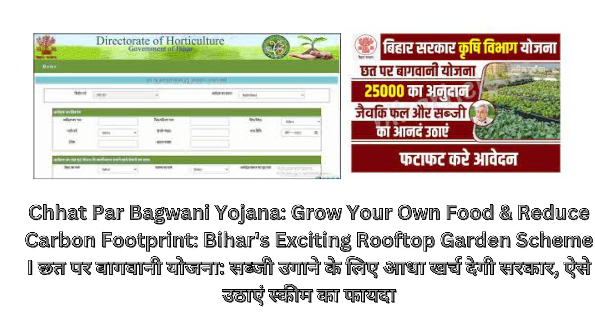 Chhat Par Bagwani Yojana: Grow Your Own Food & Reduce Carbon Footprint: Bihar's Exciting Rooftop Garden Scheme I छत पर बागवानी योजना: सब्जी उगाने के लिए आधा खर्च देगी सरकार, ऐसे उठाएं स्कीम का फायदा