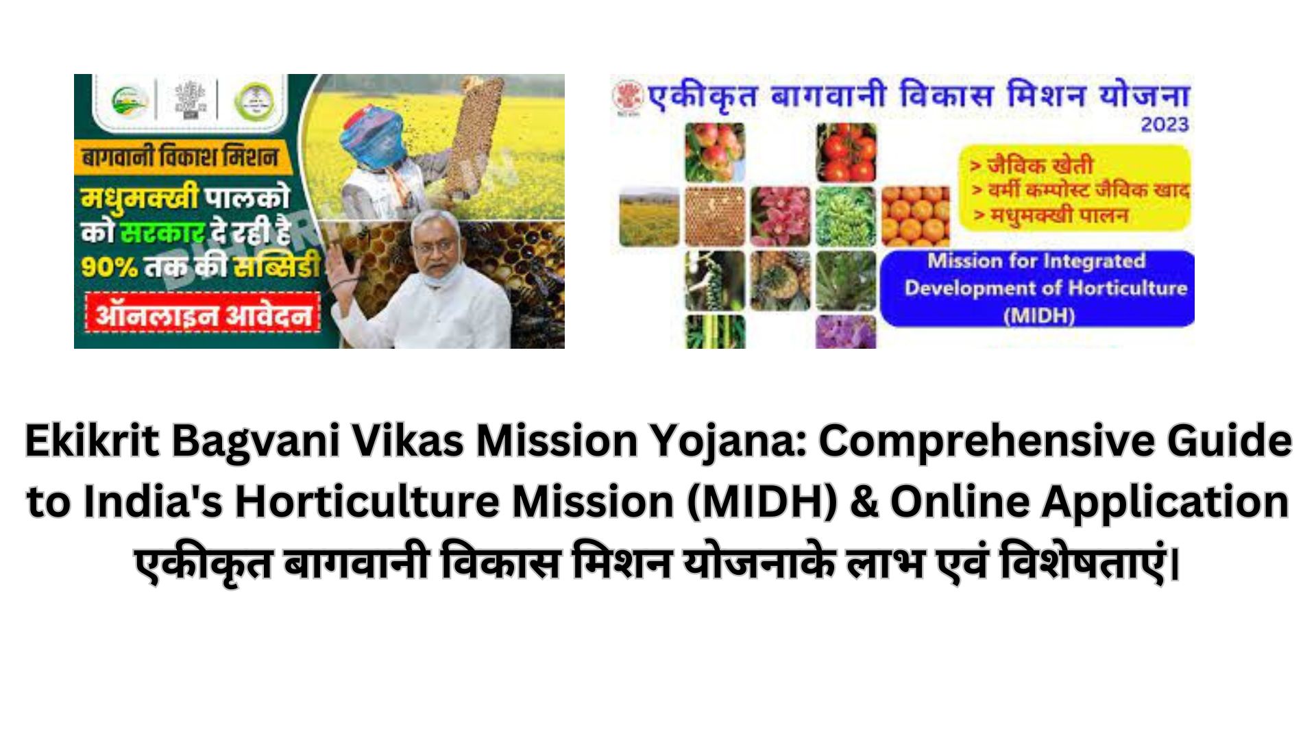 Ekikrit Bagvani Vikas Mission Yojana: Comprehensive Guide to India's Horticulture Mission (MIDH) & Online Application एकीकृत बागवानी विकास मिशन योजनाके लाभ एवं विशेषताएं।