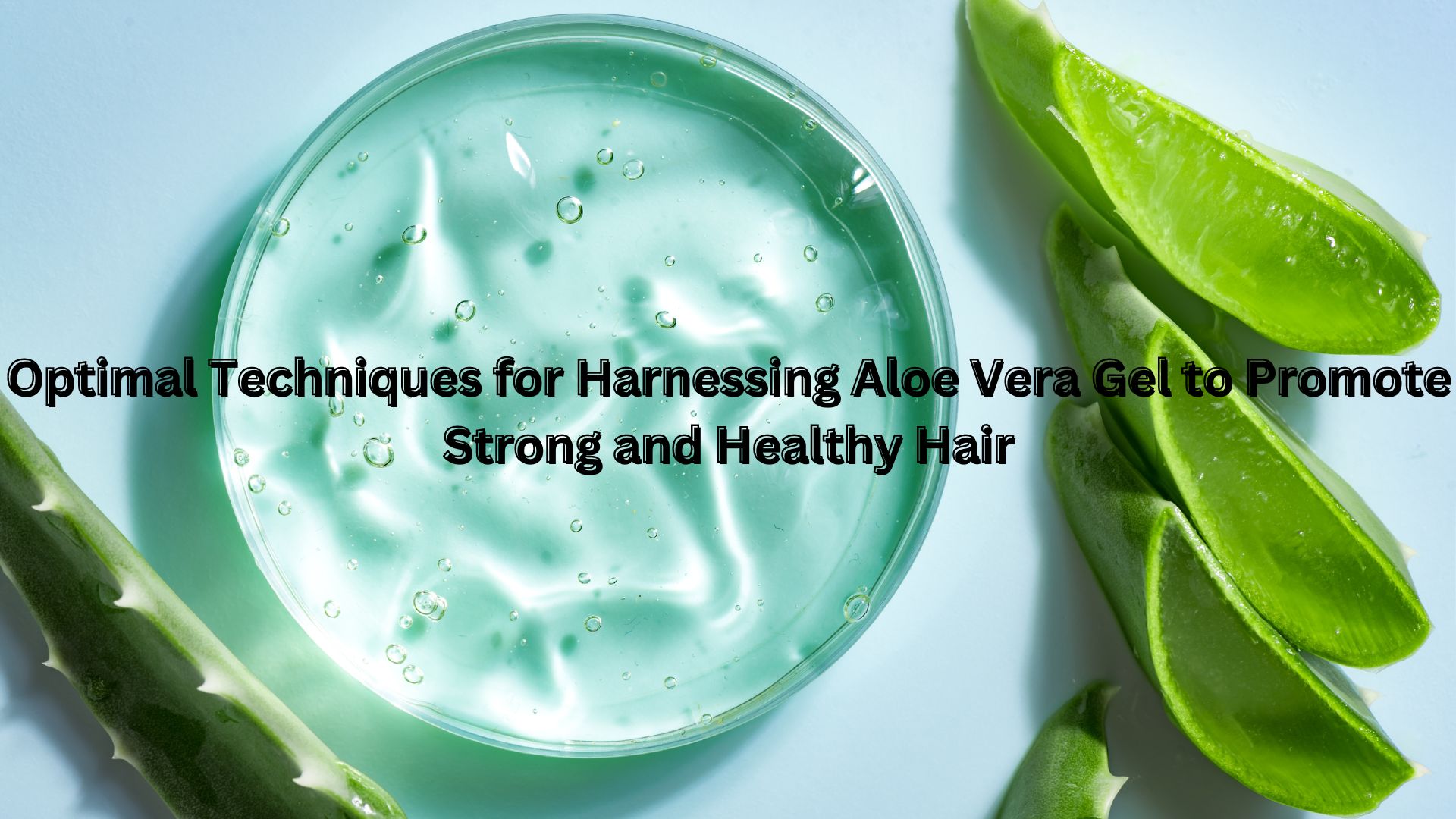 Optimal Techniques for Harnessing Aloe Vera Gel to Promote Strong and Healthy Hair