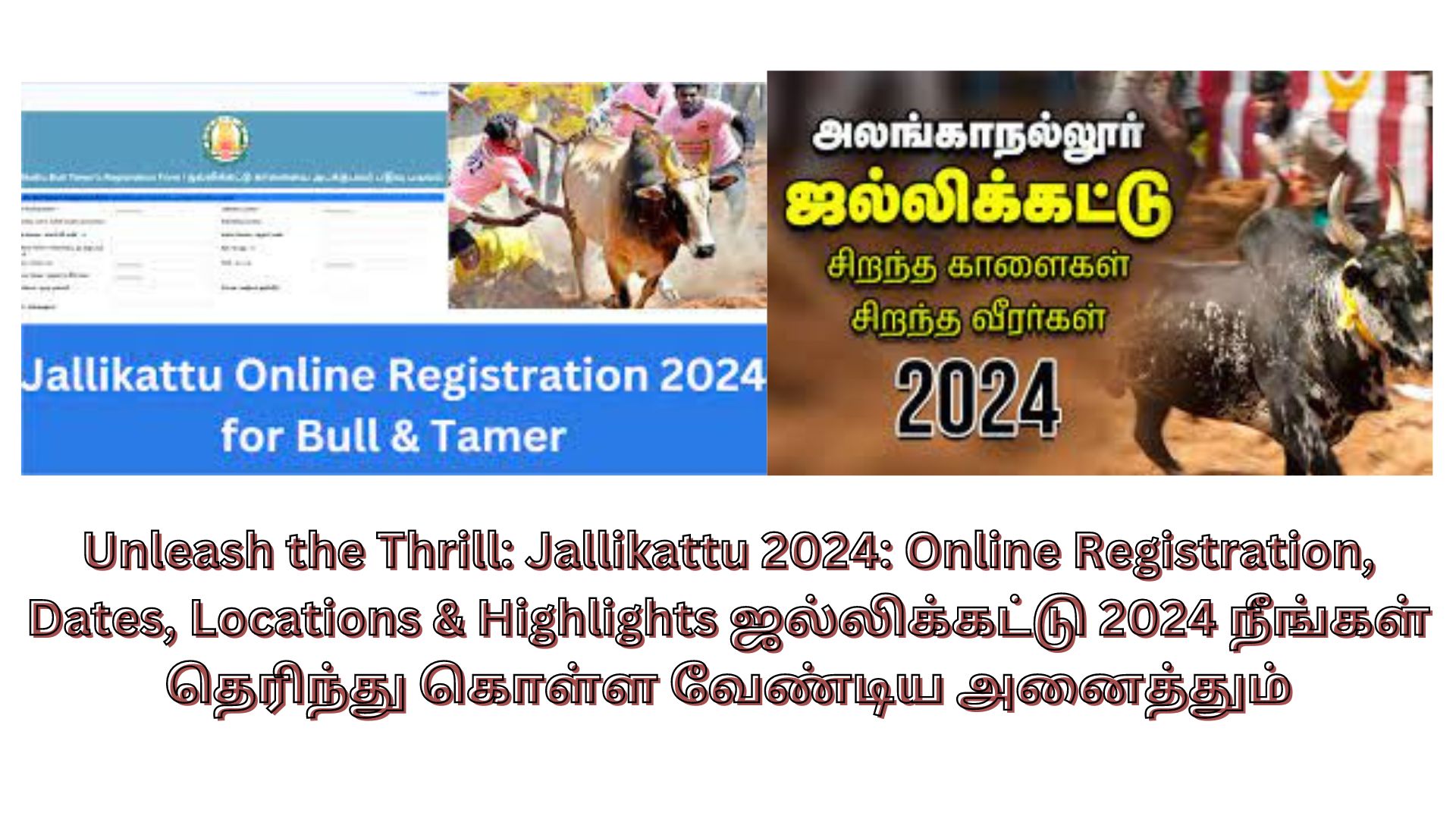 Unleash the Thrill: Jallikattu 2024: Online Registration, Dates, Locations & Highlights ஜல்லிக்கட்டு 2024 நீங்கள் தெரிந்து கொள்ள வேண்டிய அனைத்தும்