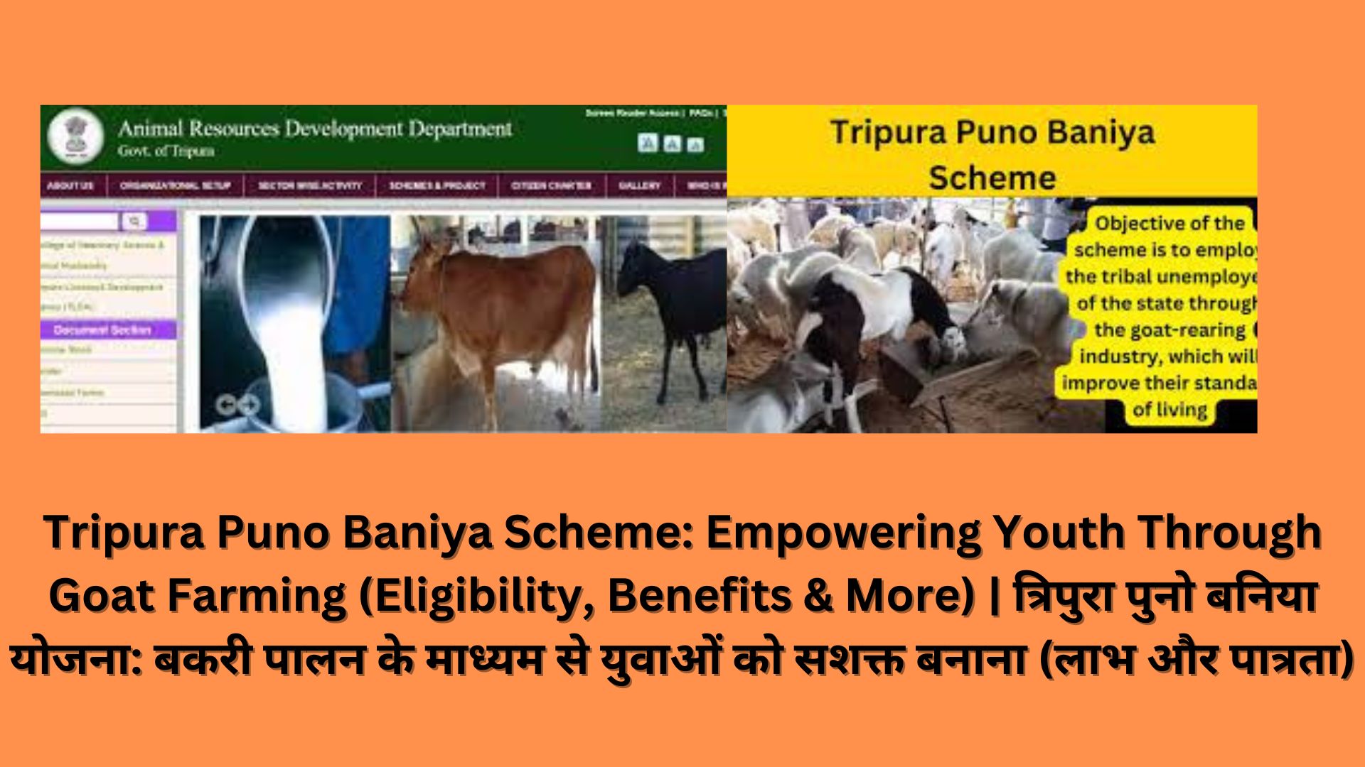 Tripura Puno Baniya Scheme: Empowering Youth Through Goat Farming (Eligibility, Benefits & More) | त्रिपुरा पुनो बनिया योजना: बकरी पालन के माध्यम से युवाओं को सशक्त बनाना (लाभ और पात्रता)