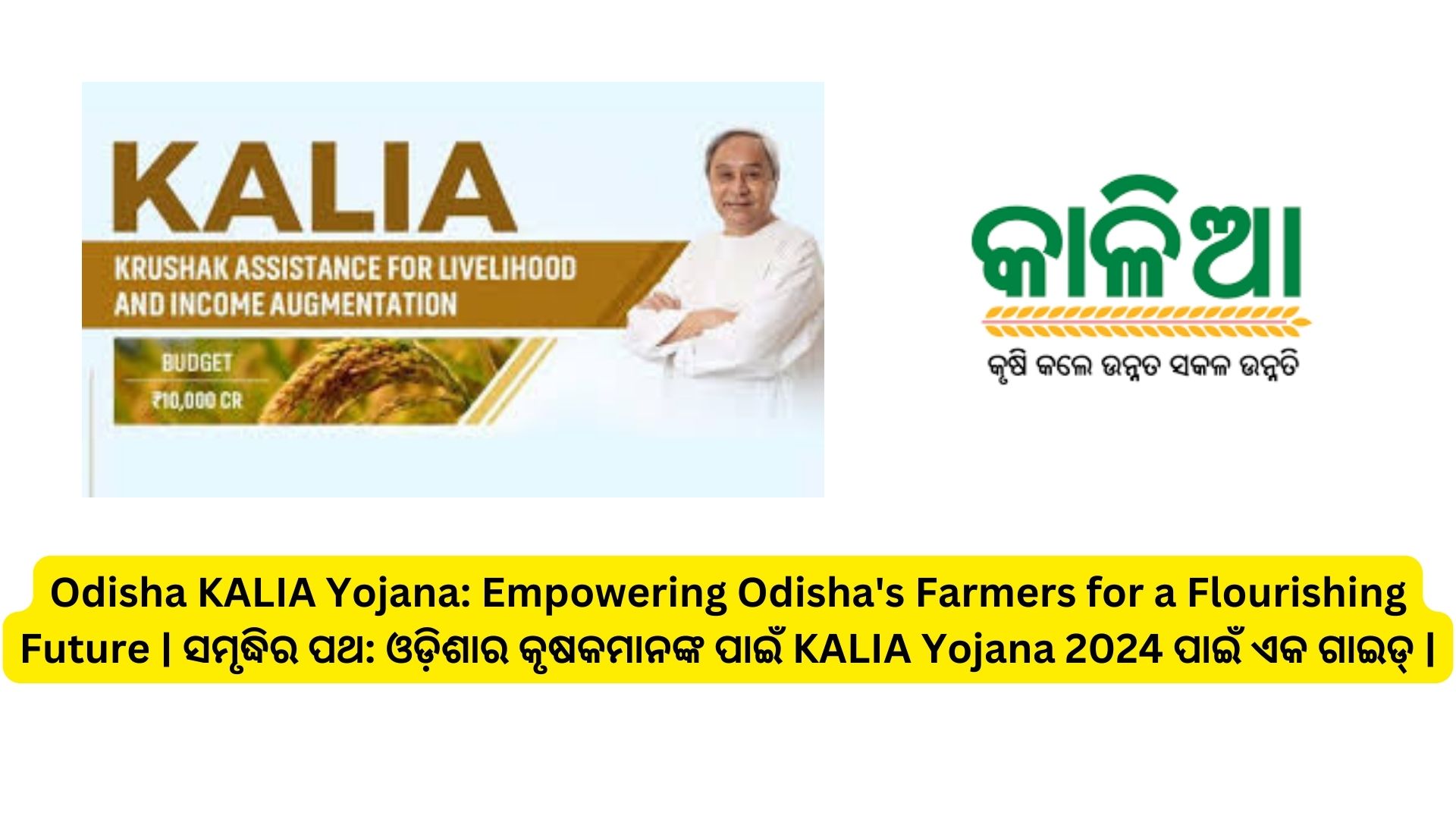 Odisha KALIA Yojana: Empowering Odisha's Farmers for a Flourishing Future | ସମୃଦ୍ଧିର ପଥ: ଓଡ଼ିଶାର କୃଷକମାନଙ୍କ ପାଇଁ KALIA Yojana 2024 ପାଇଁ ଏକ ଗାଇଡ୍ |