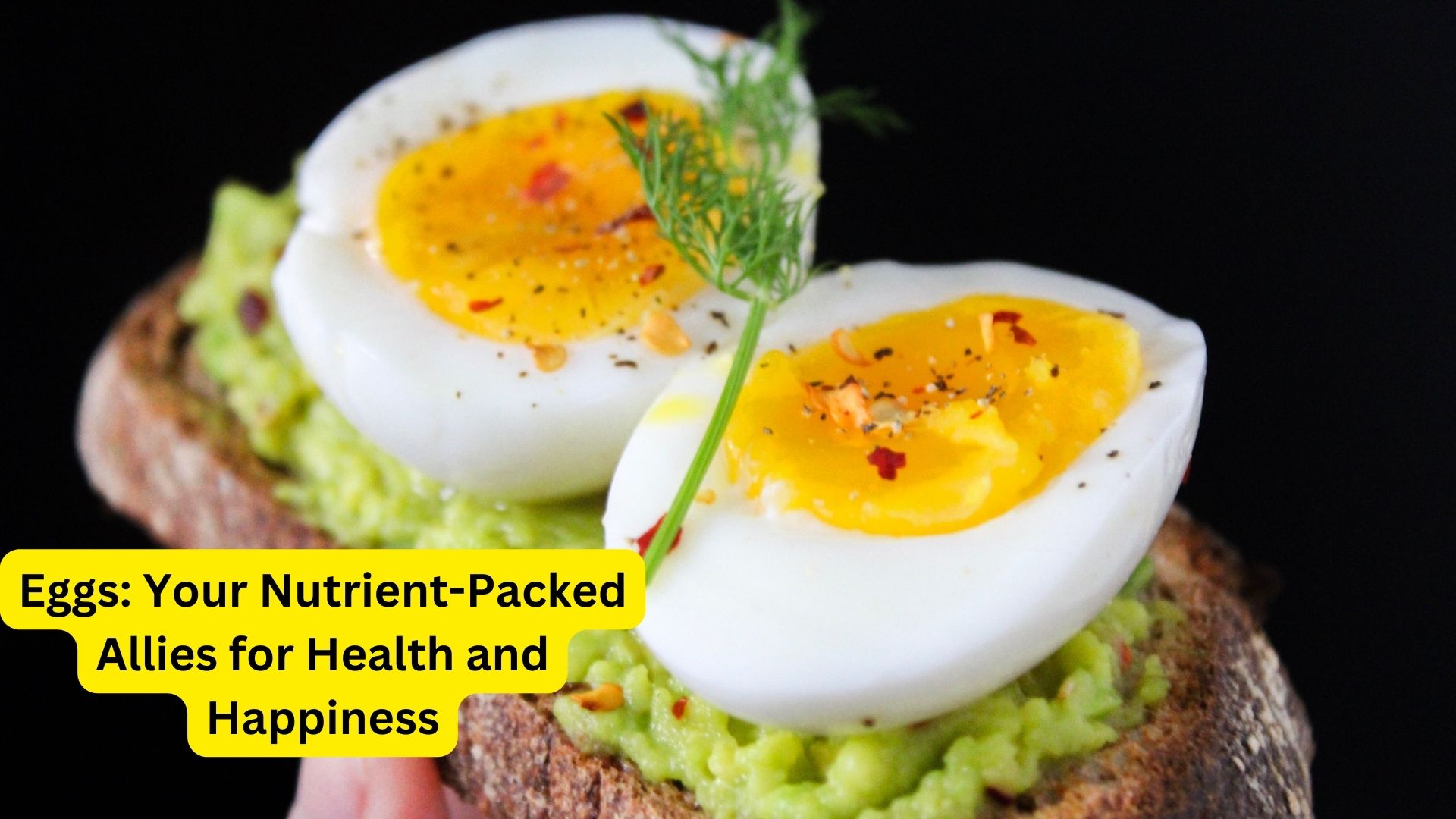 Eggs: Your Nutrient-Packed Allies for Health and Happiness