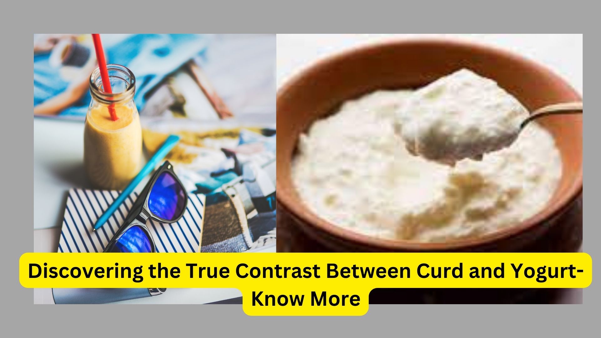 Discovering the True Contrast Between Curd and Yogurt- Know More