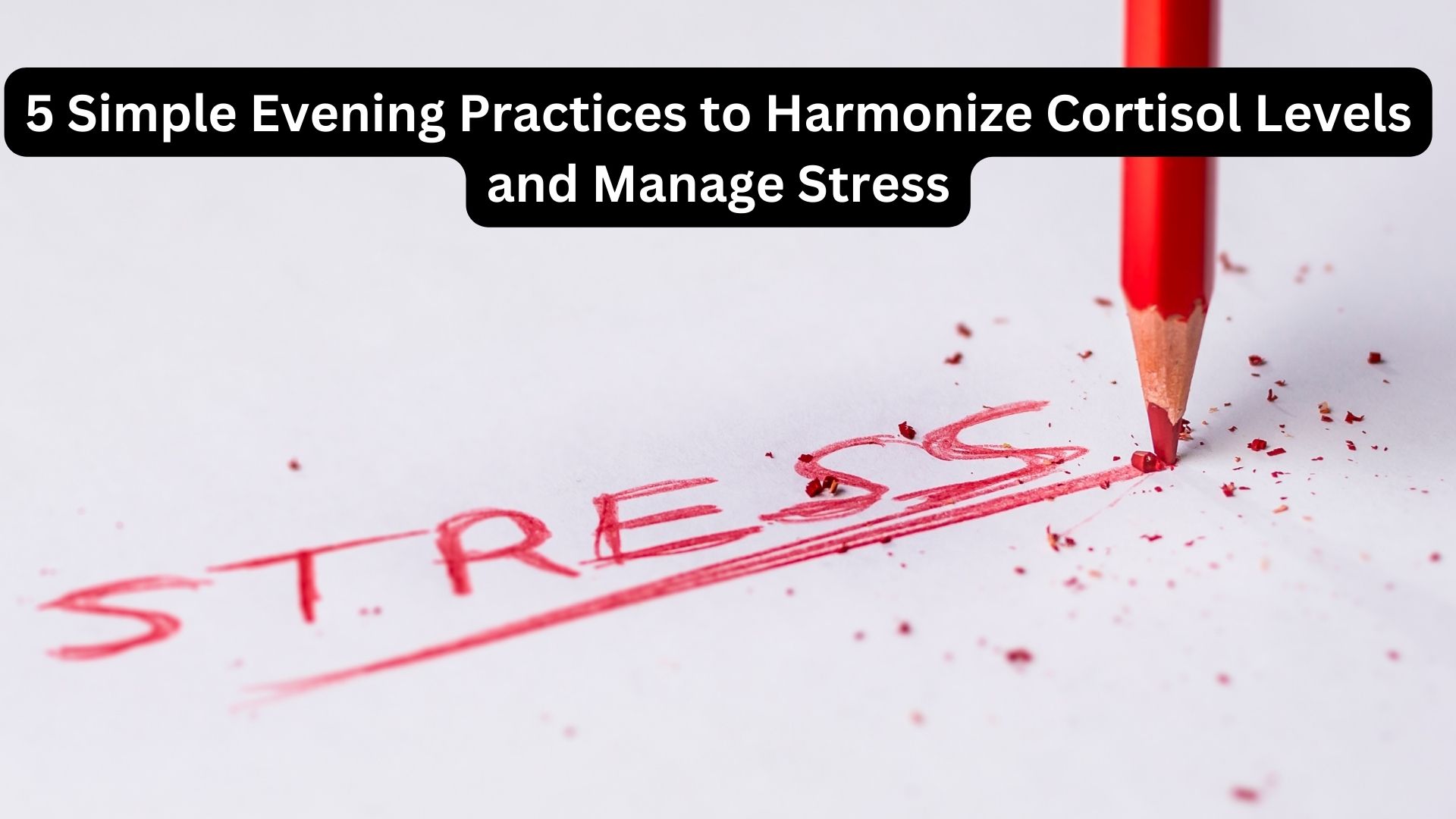 5 Simple Evening Practices to Harmonize Cortisol Levels and Manage Stress