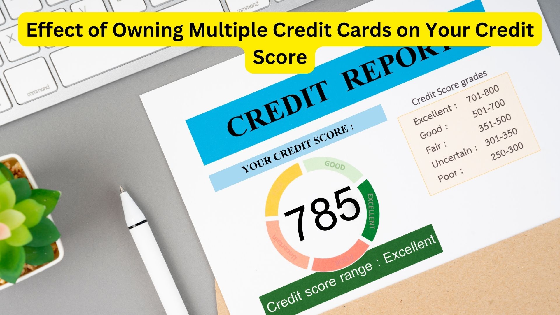 Effect of Owning Multiple Credit Cards on Your Credit Score