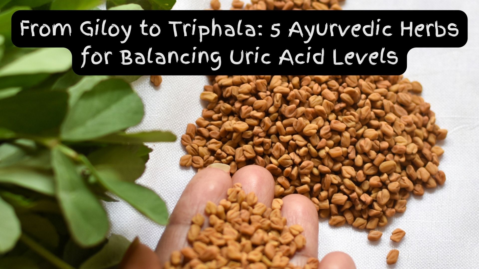 From Giloy to Triphala: 5 Ayurvedic Herbs for Balancing Uric Acid Levels