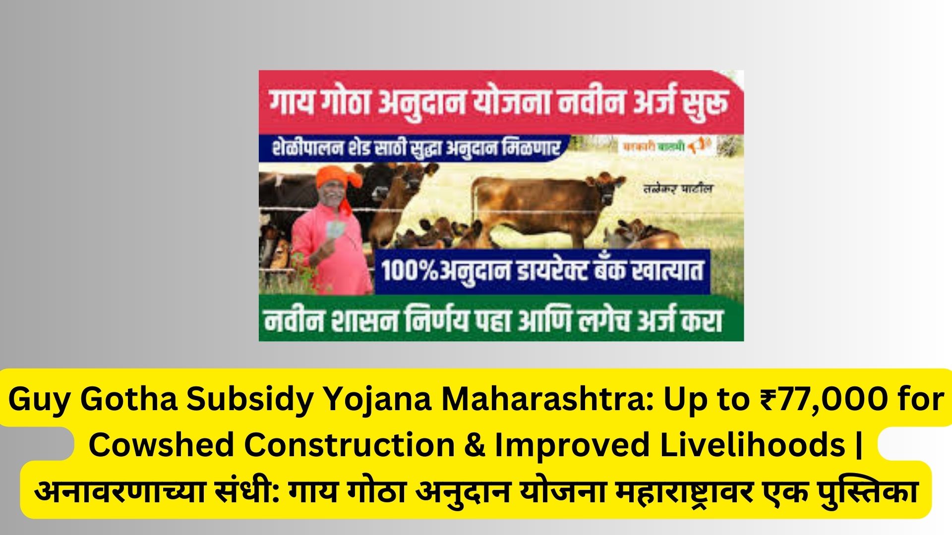 Guy Gotha Subsidy Yojana Maharashtra: Up to ₹77,000 for Cowshed Construction & Improved Livelihoods | अनावरणाच्या संधी: गाय गोठा अनुदान योजना महाराष्ट्रावर एक पुस्तिका