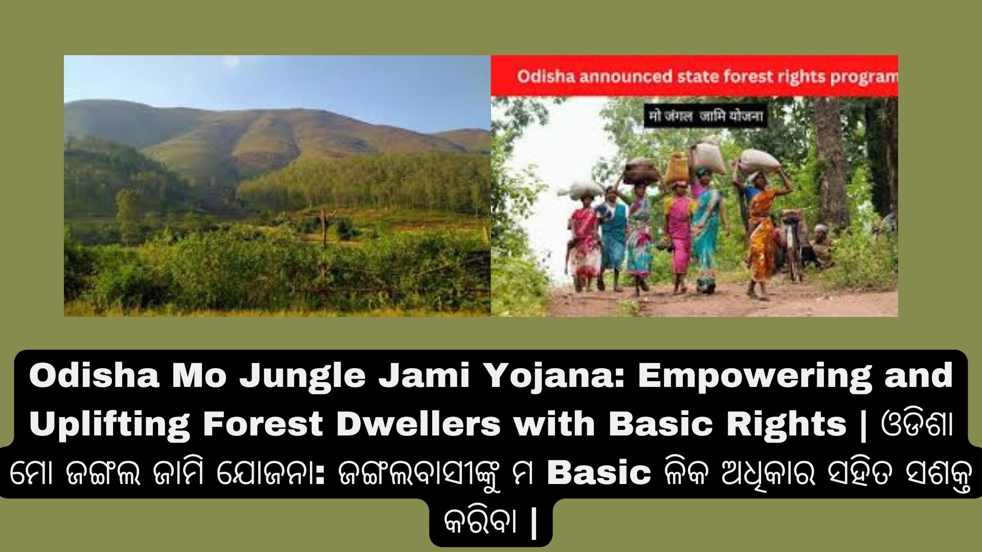 Odisha Mo Jungle Jami Yojana: Empowering and Uplifting Forest Dwellers with Basic Rights | ଓଡିଶା ମୋ ଜଙ୍ଗଲ ଜାମି ଯୋଜନା: ଜଙ୍ଗଲବାସୀଙ୍କୁ ମ Basic ଳିକ ଅଧିକାର ସହିତ ସଶକ୍ତ କରିବା |