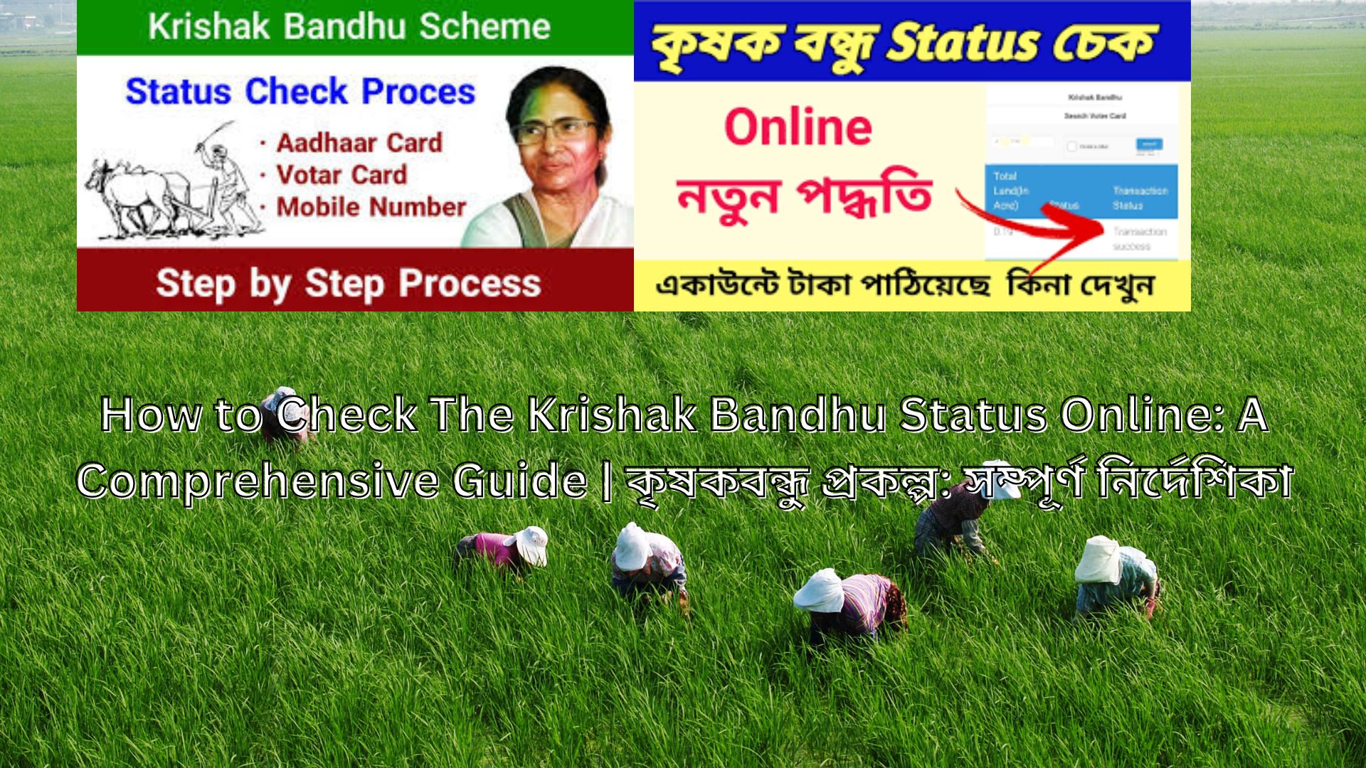 How to Check The Krishak Bandhu Status Online: A Comprehensive Guide | কৃষকবন্ধু প্রকল্প: সম্পূর্ণ নির্দেশিকা