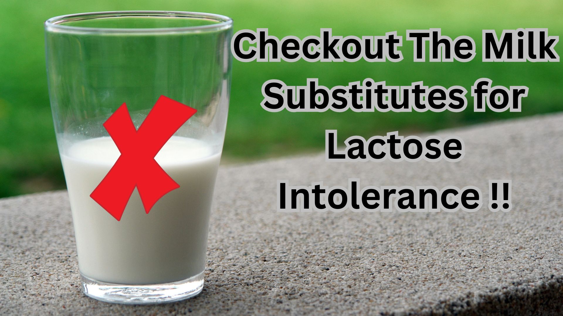 Checkout The Milk Substitutes for Lactose Intolerance !!