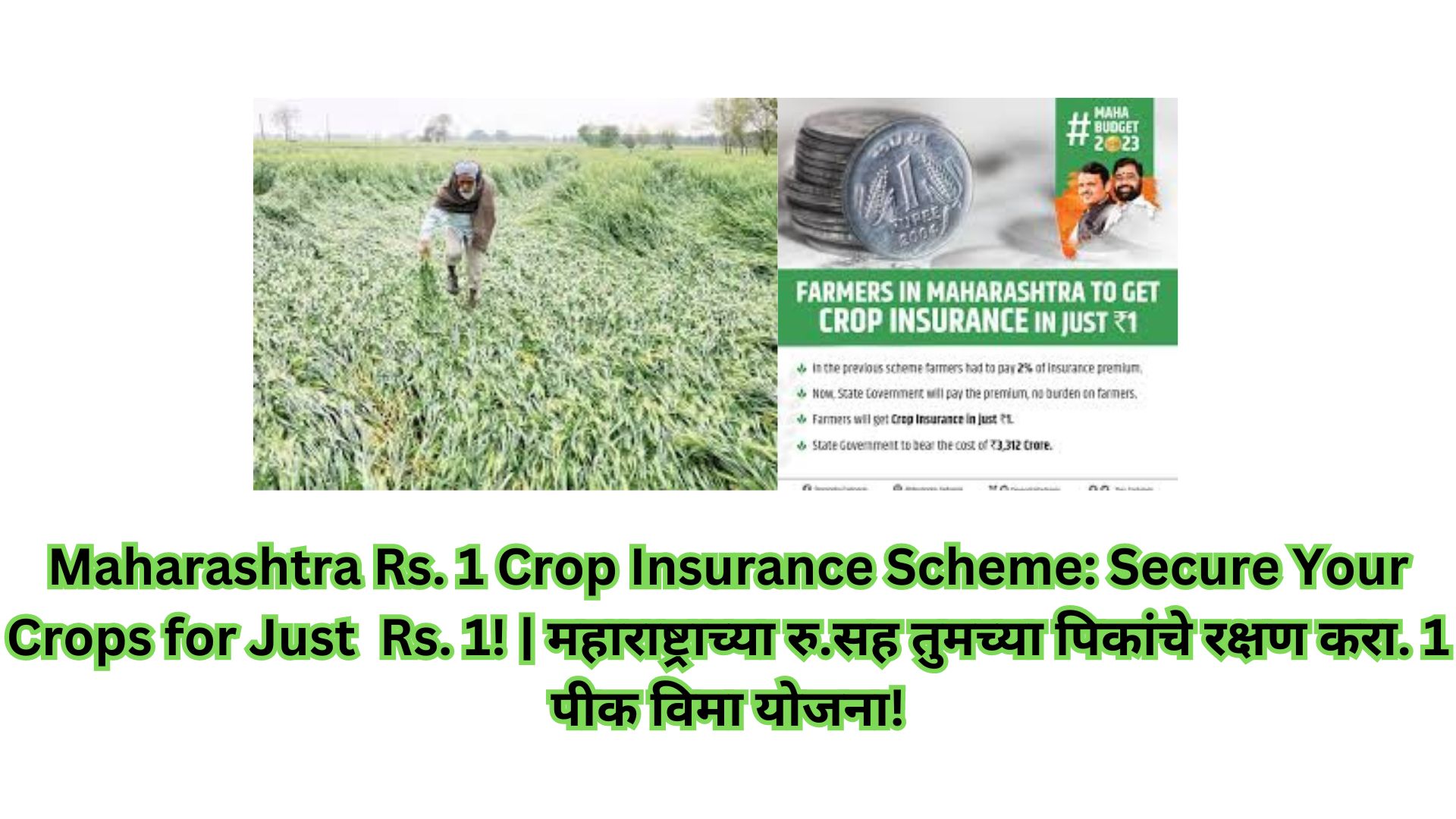 Maharashtra Rs. 1 Crop Insurance Scheme: Secure Your Crops for Just Rs. 1! | महाराष्ट्राच्या रु.सह तुमच्या पिकांचे रक्षण करा. 1 पीक विमा योजना!